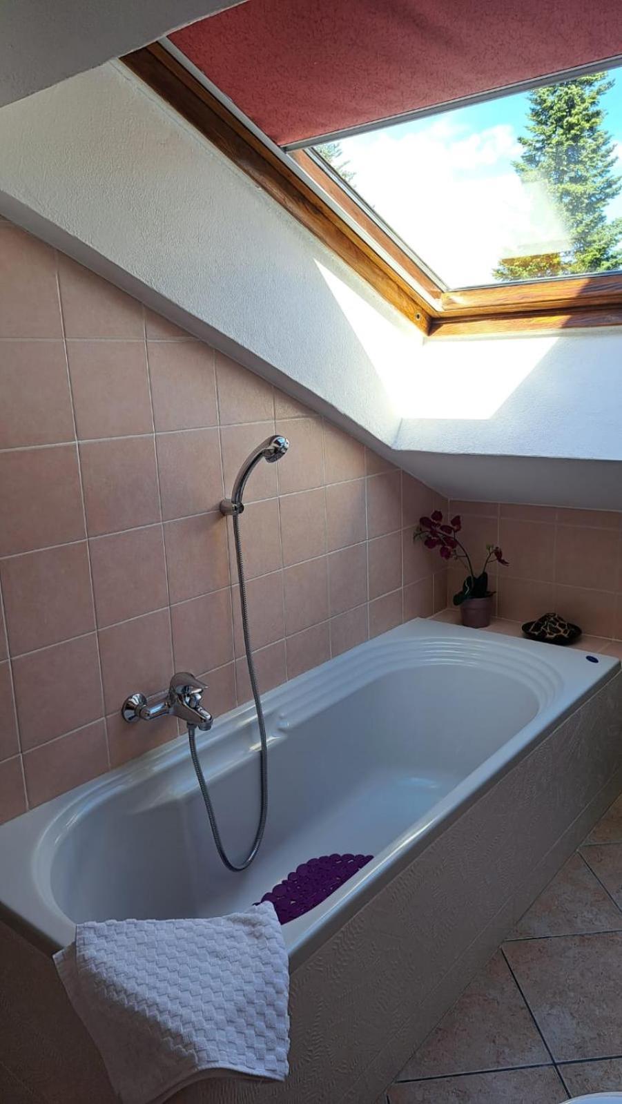 阿尔克雷Casa Paola - Stazione 400 Mt - Free Wifi公寓 外观 照片